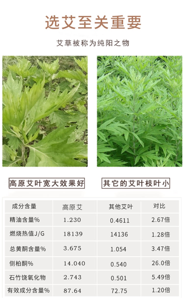 兒童艾條|高原艾|艾條的作用|五年陳艾