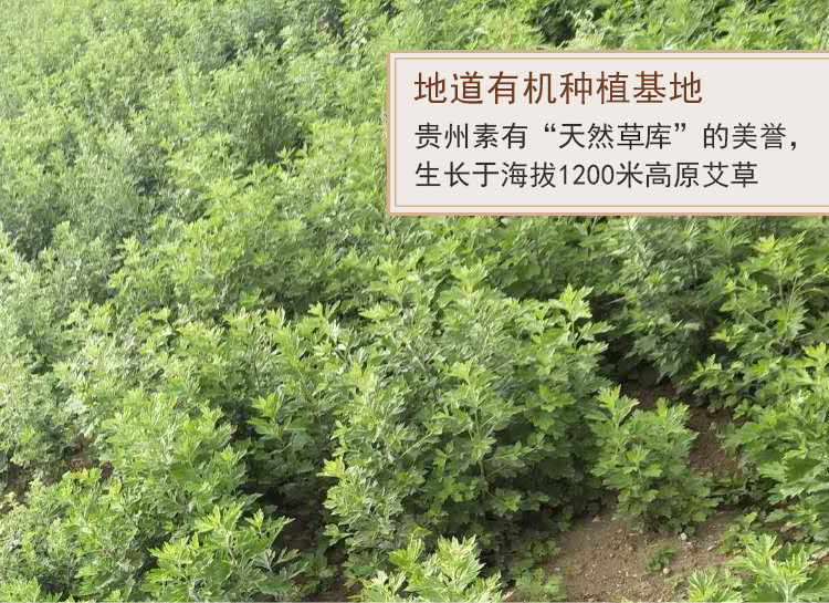 弦歌堂艾養(yǎng)生