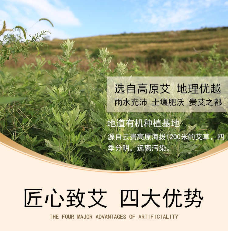 弦歌堂艾養(yǎng)生