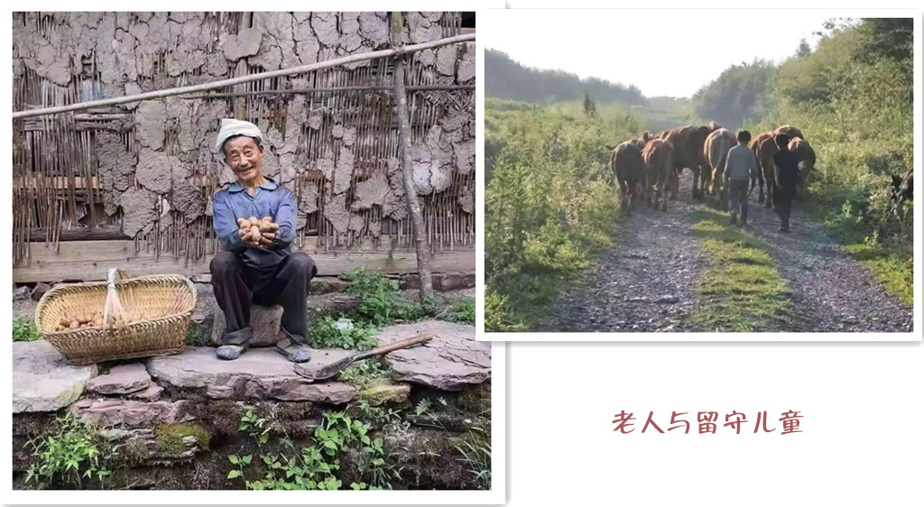 茶葉批發(fā)|三年陳艾|艾條的作用|艾灸養(yǎng)生