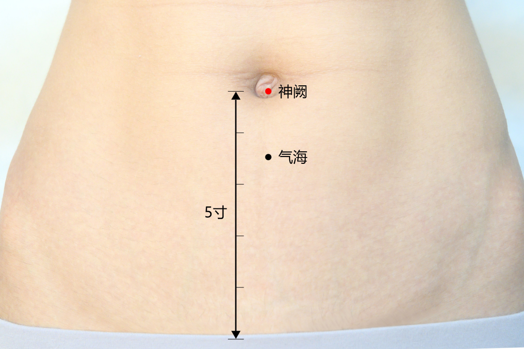 弦歌堂艾養(yǎng)生