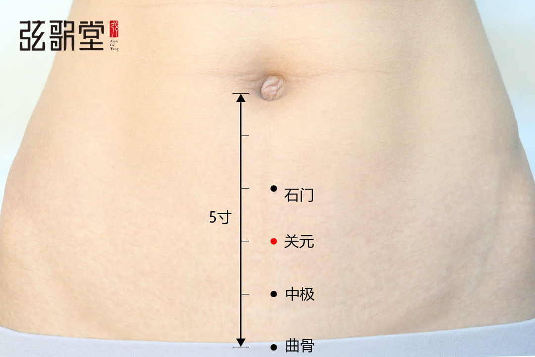 1669687161333026.png 弦歌堂艾養(yǎng)生