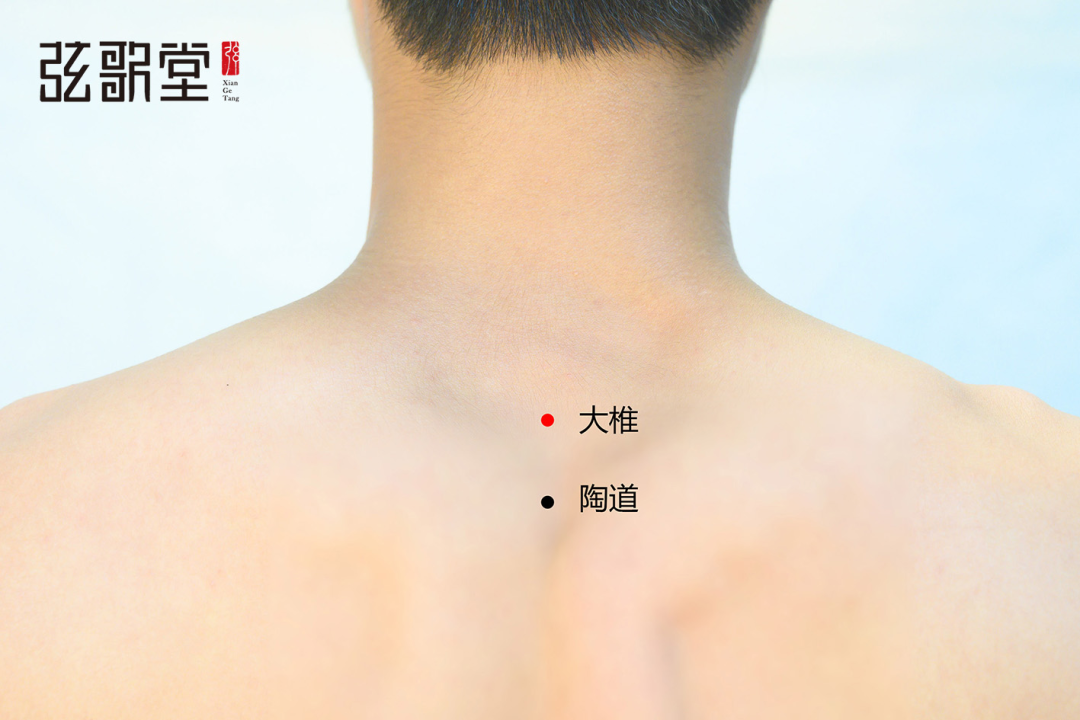 弦歌堂艾養(yǎng)生