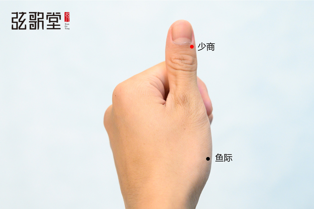 弦歌堂艾養(yǎng)生