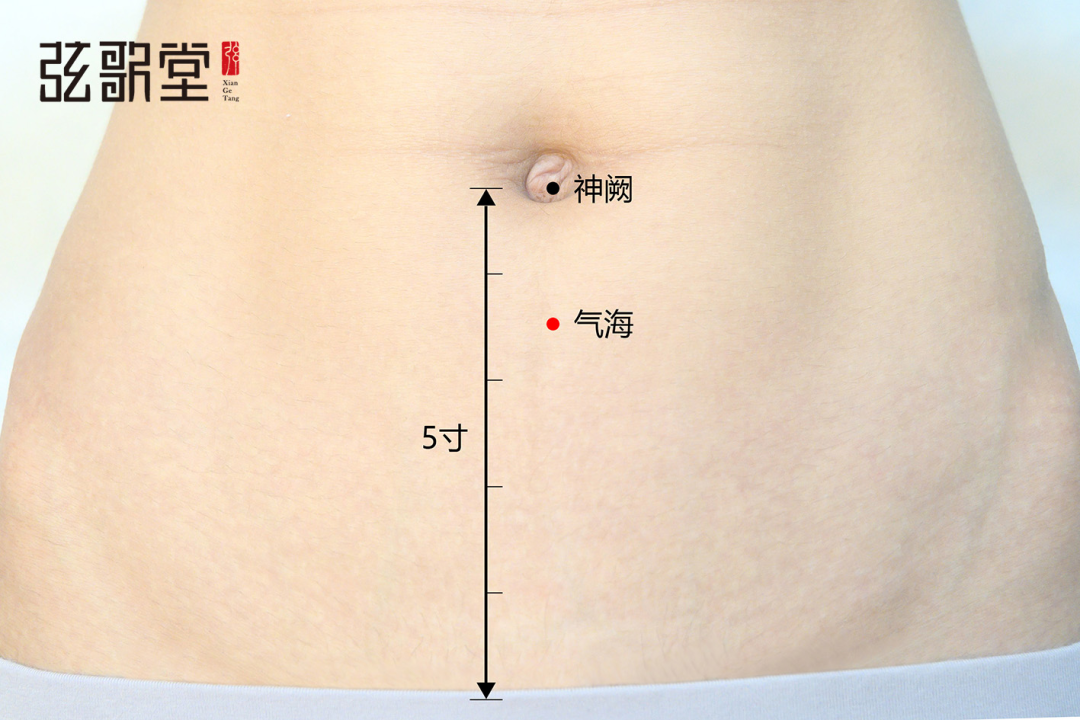 弦歌堂艾養(yǎng)生
