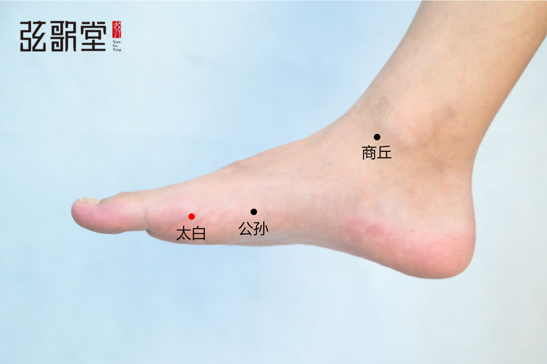 弦歌堂艾養(yǎng)生