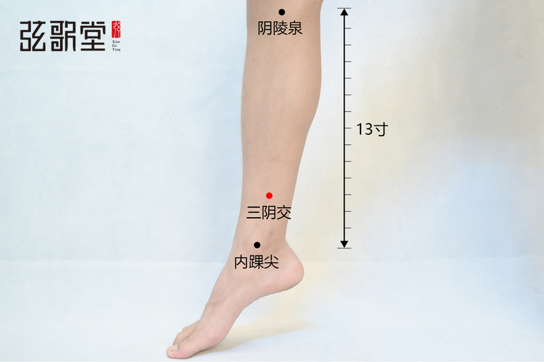 弦歌堂艾養(yǎng)生