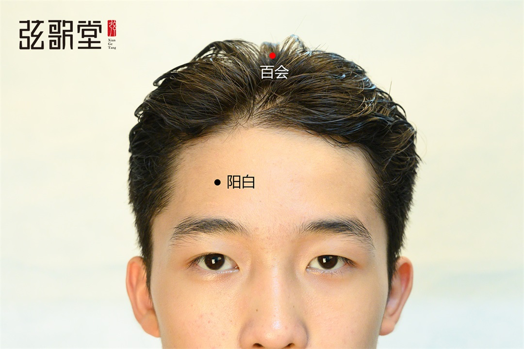 弦歌堂艾養(yǎng)生