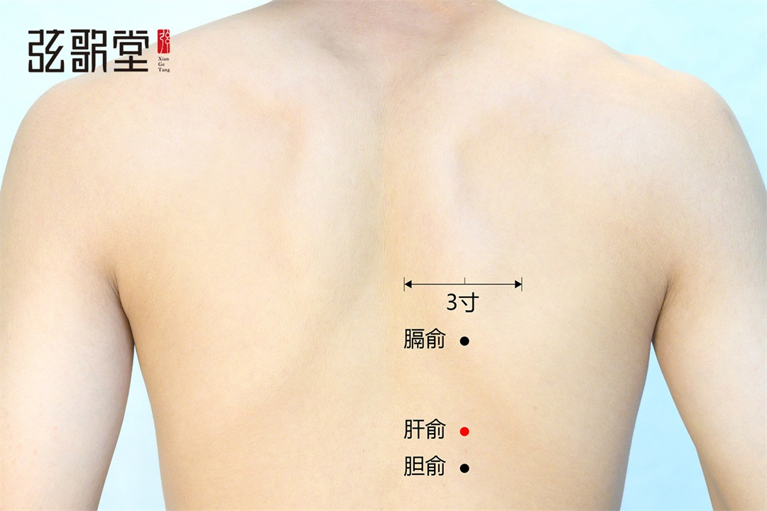 茶葉批發(fā)丨養(yǎng)生茶丨艾條的作用丨艾灸養(yǎng)生