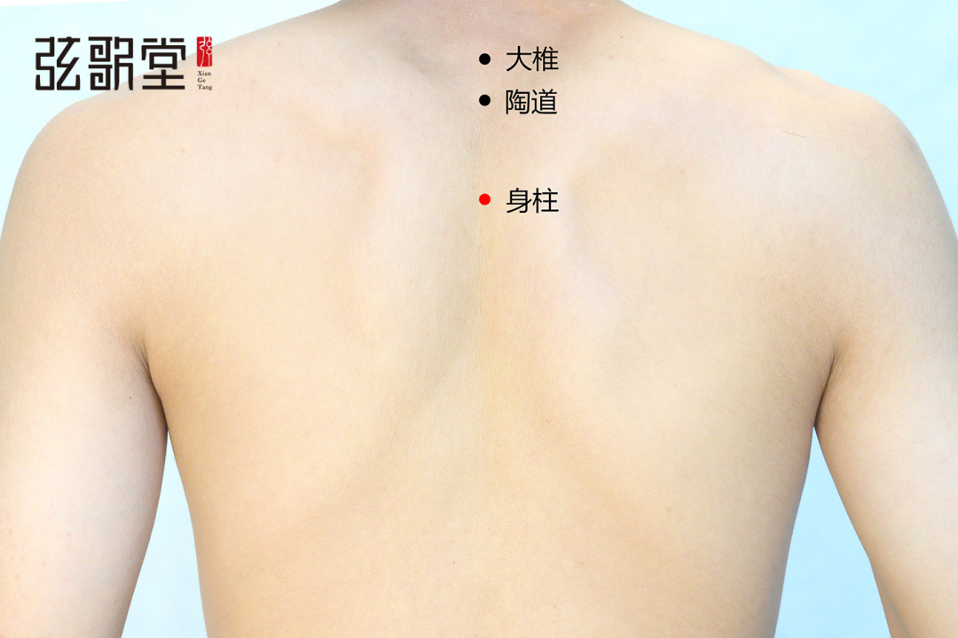 茶葉批發(fā)丨養(yǎng)生茶丨艾條的作用丨艾灸養(yǎng)生