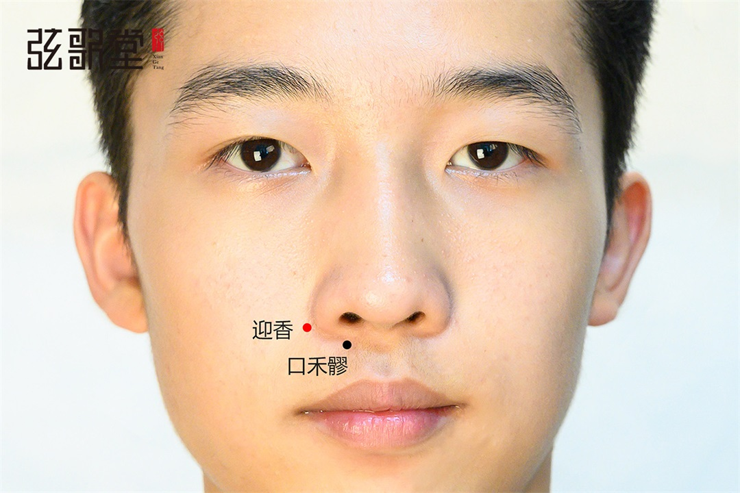 茶葉批發(fā)丨養(yǎng)生茶丨艾條的作用丨艾灸養(yǎng)生