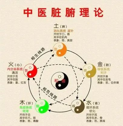 茶葉批發(fā)丨養(yǎng)生茶丨艾條的作用丨艾灸養(yǎng)生