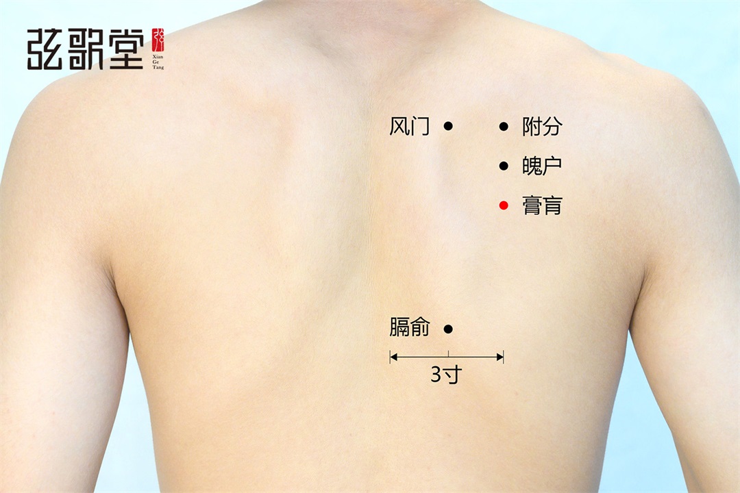 弦歌堂艾養(yǎng)生