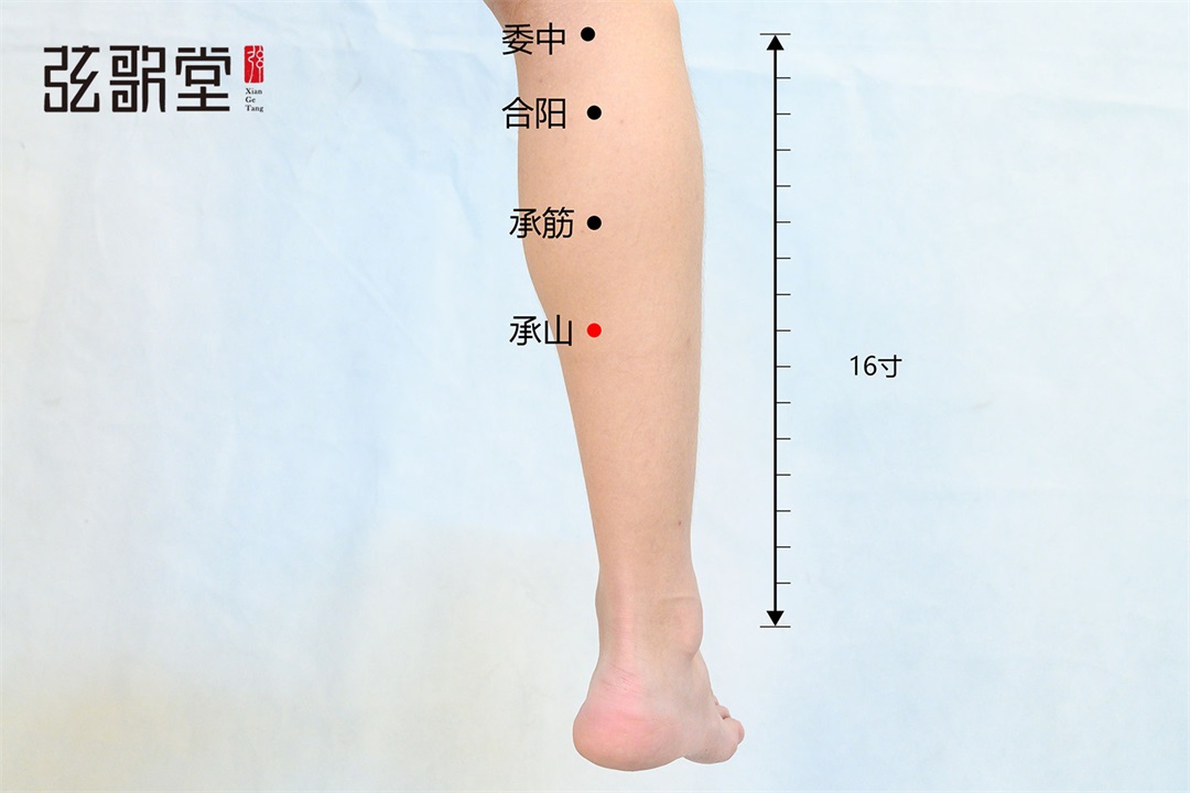 弦歌堂艾養(yǎng)生