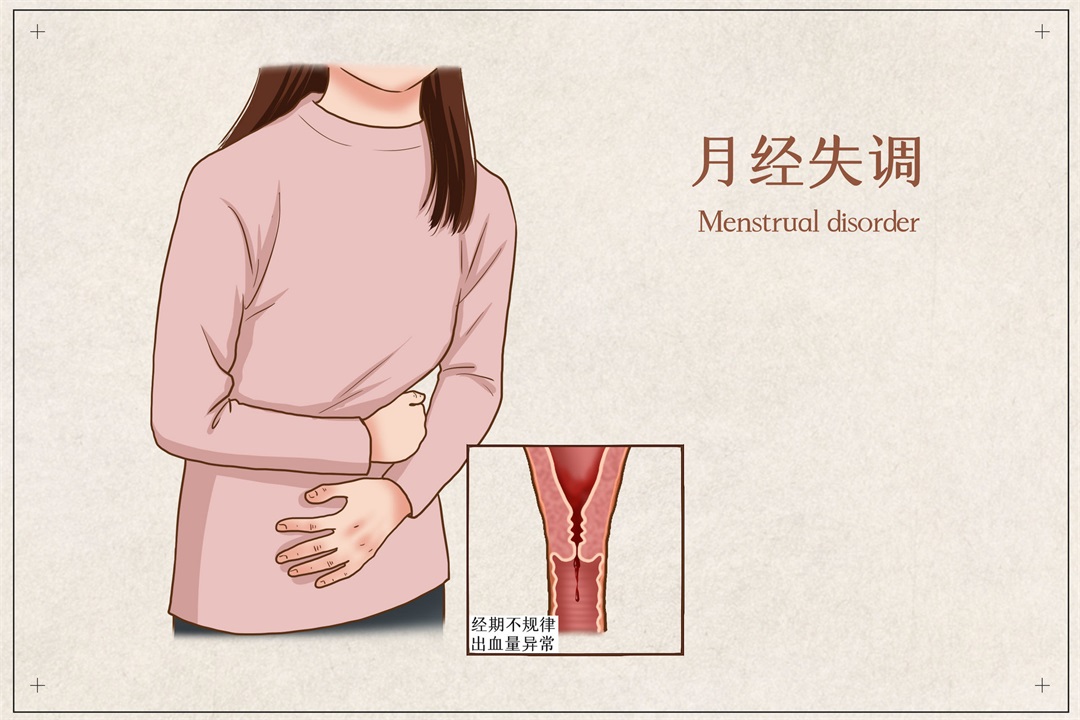 茶葉批發(fā)丨養(yǎng)生茶丨艾條的作用丨艾灸養(yǎng)生