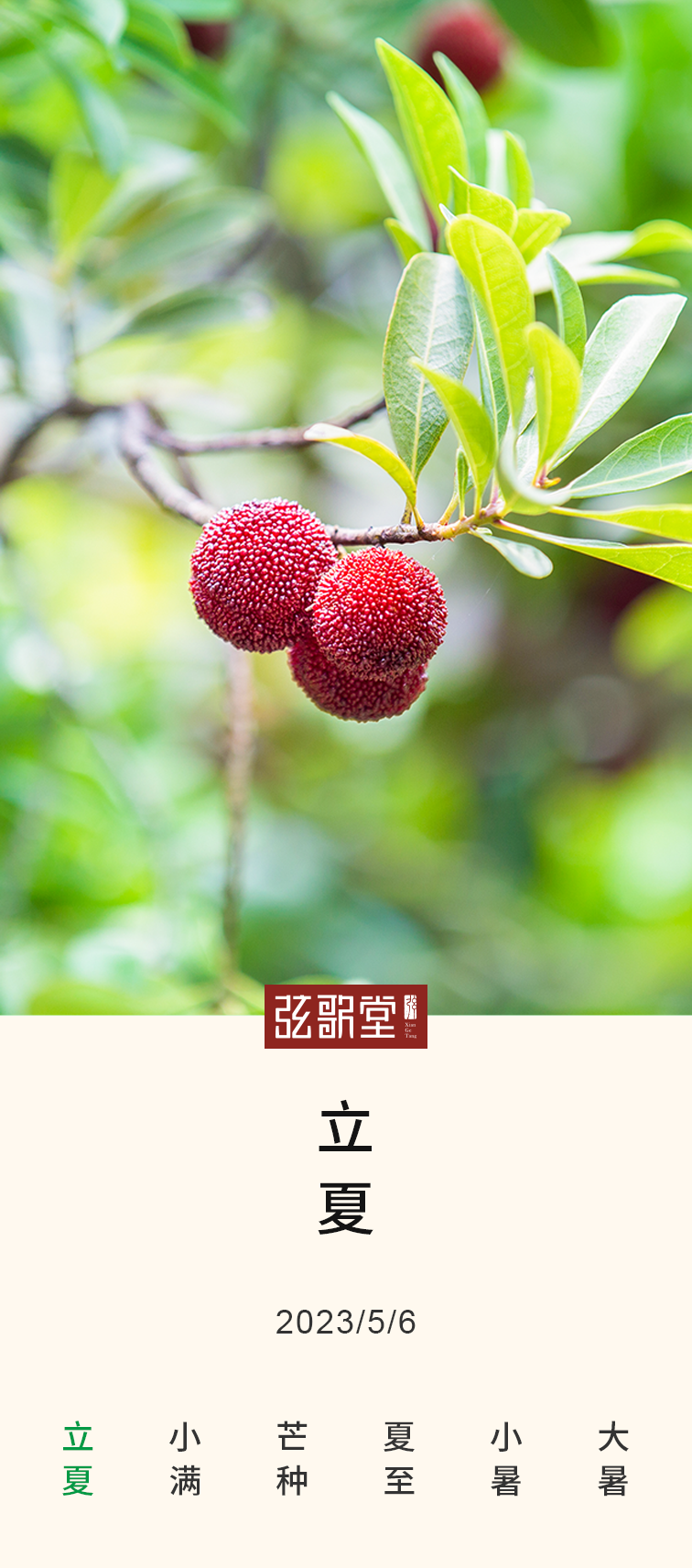 茶葉批發(fā)丨養(yǎng)生茶丨艾條的作用丨艾灸養(yǎng)生