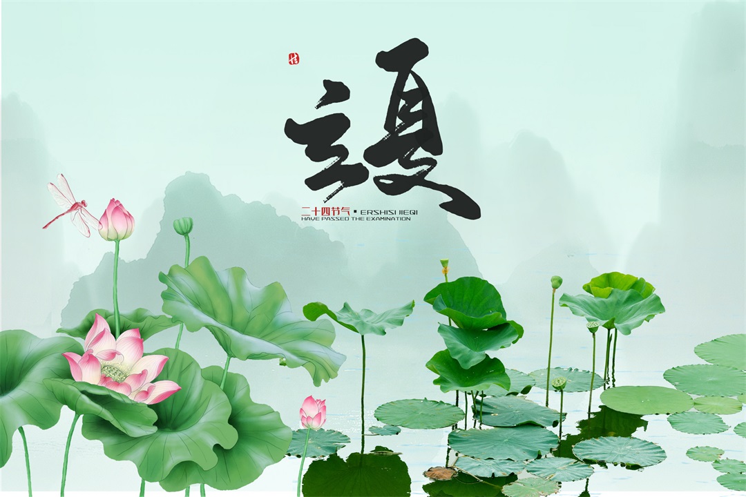 茶葉批發(fā)丨養(yǎng)生茶丨艾條的作用丨艾灸養(yǎng)生