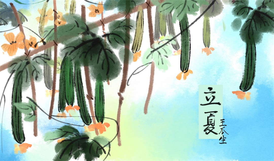 茶葉批發(fā)丨養(yǎng)生茶丨艾條的作用丨艾灸養(yǎng)生