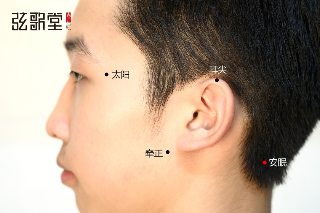 茶葉批發(fā)丨養(yǎng)生茶丨艾條的作用丨艾灸養(yǎng)生