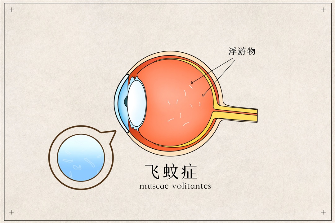 茶葉批發(fā)丨養(yǎng)生茶丨艾條的作用丨艾灸養(yǎng)生