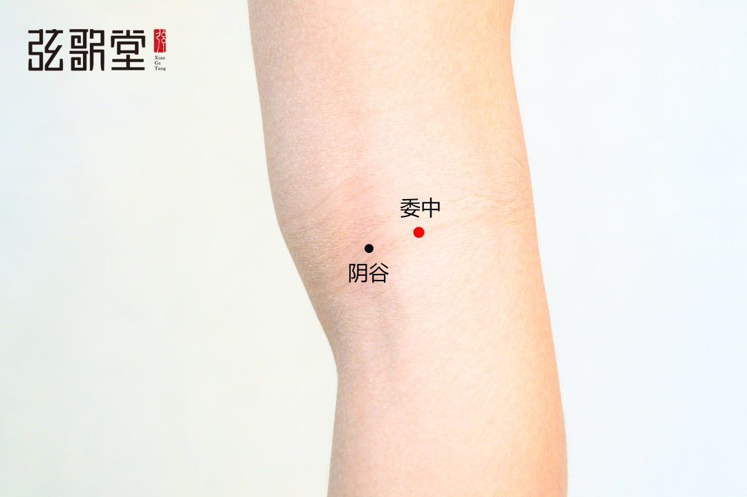 弦歌堂艾養(yǎng)生