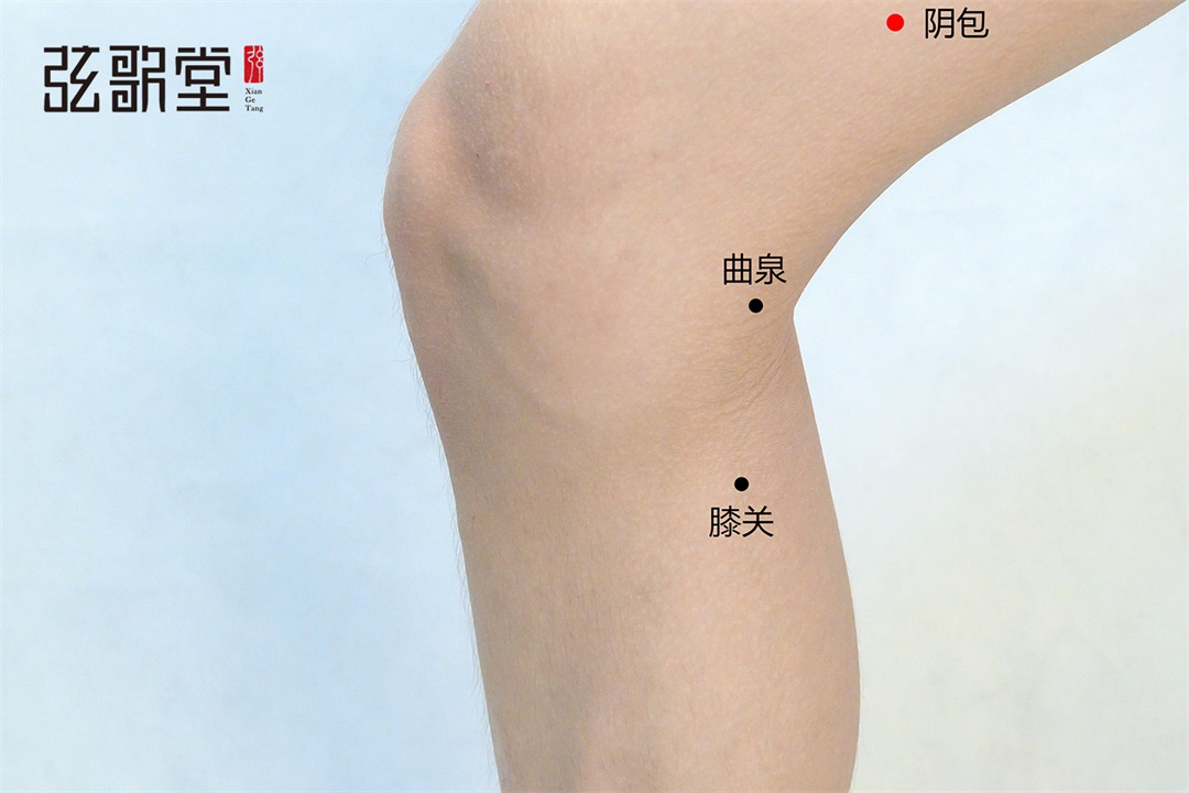 弦歌堂艾養(yǎng)生
