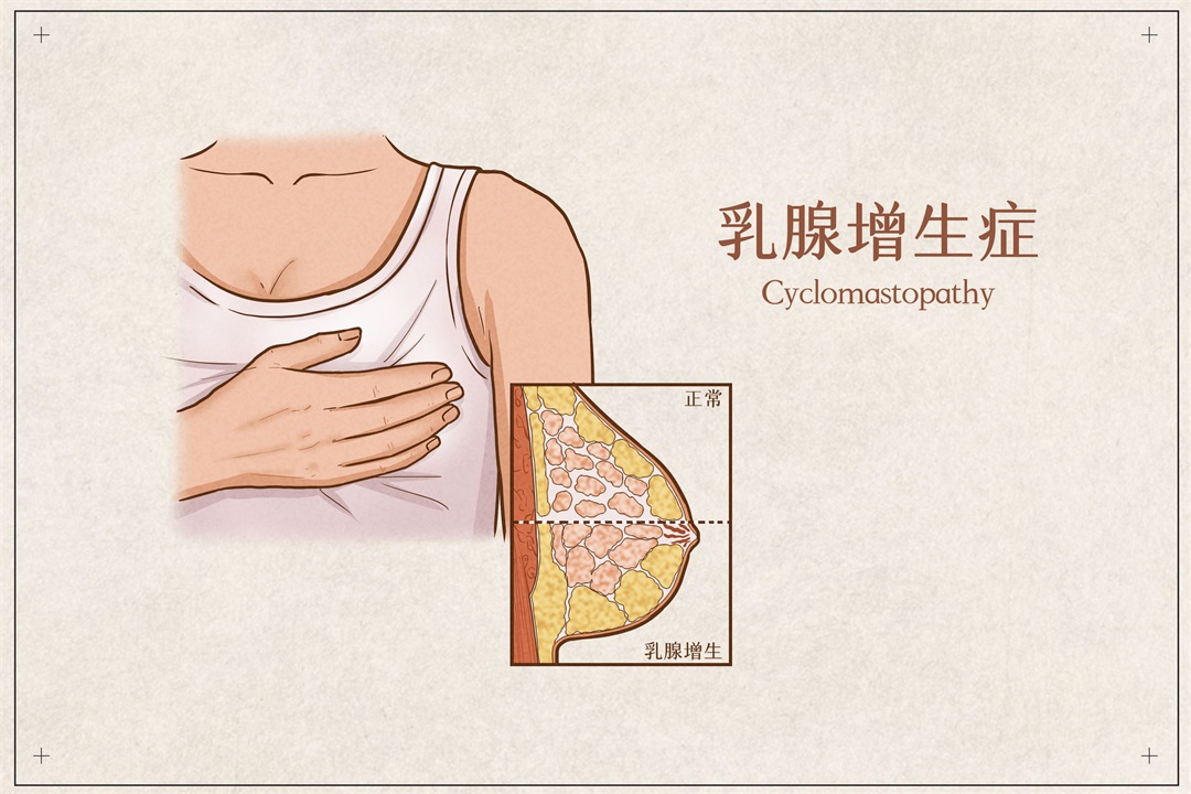 茶葉批發(fā)丨養(yǎng)生茶丨艾條的作用丨艾灸養(yǎng)生