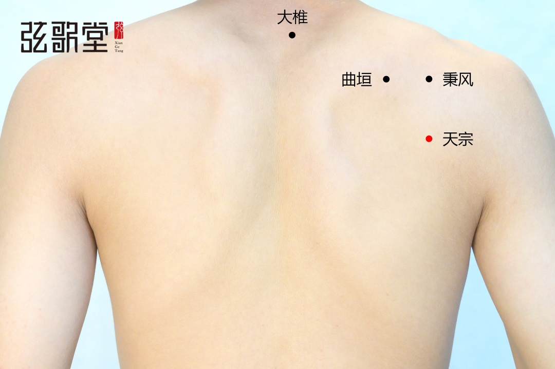 弦歌堂艾養(yǎng)生