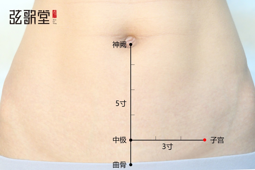 弦歌堂艾養(yǎng)生