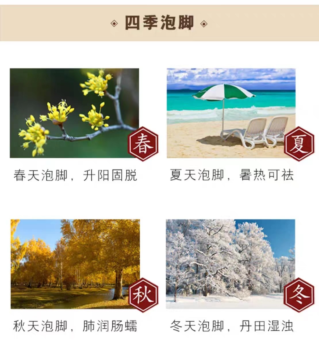 茶葉批發(fā)丨養(yǎng)生茶丨艾條的作用丨艾灸養(yǎng)生
