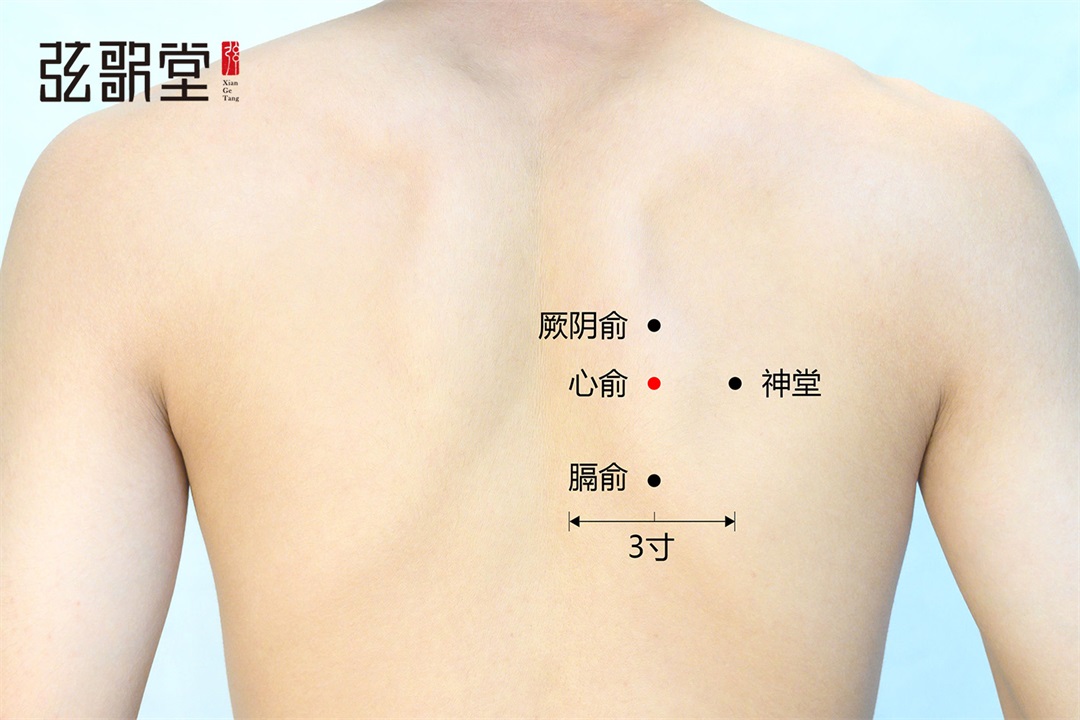 弦歌堂艾養(yǎng)生