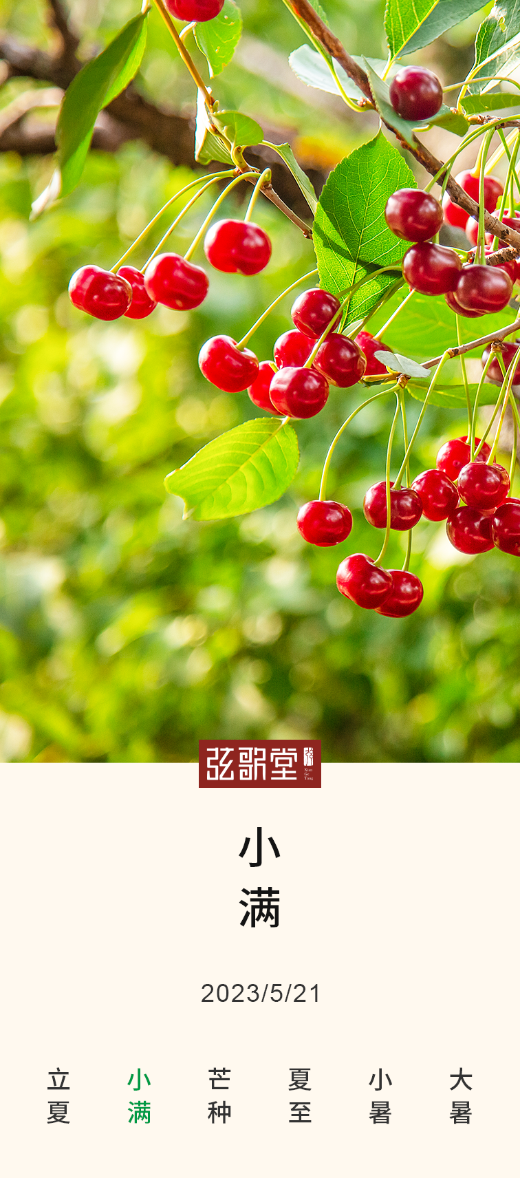 茶葉批發(fā)丨養(yǎng)生茶丨艾條的作用丨艾灸養(yǎng)生