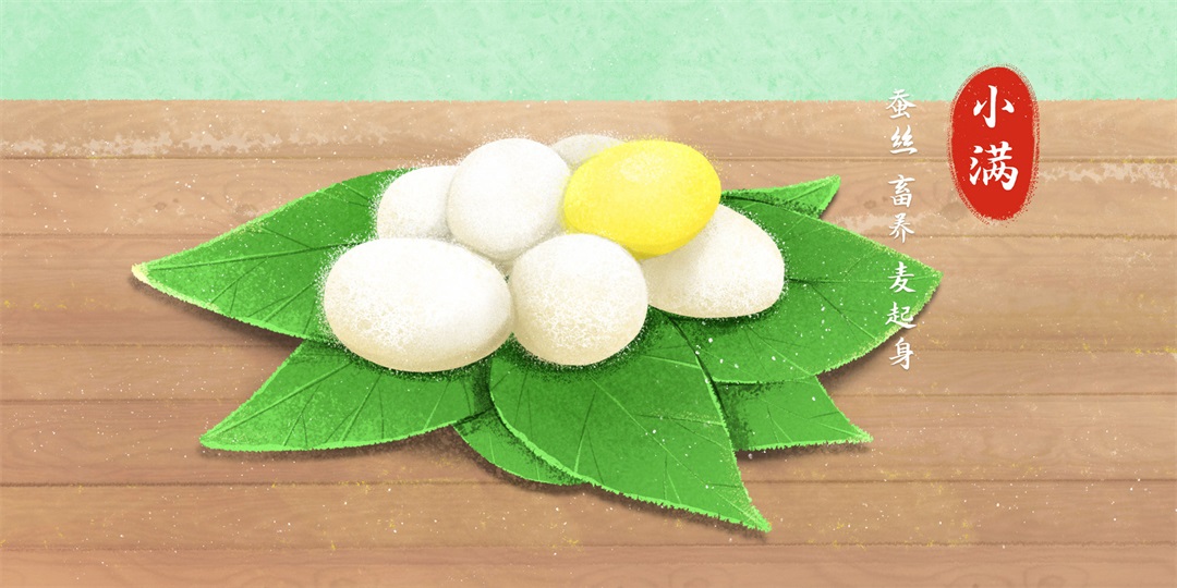 茶葉批發(fā)丨養(yǎng)生茶丨艾條的作用丨艾灸養(yǎng)生