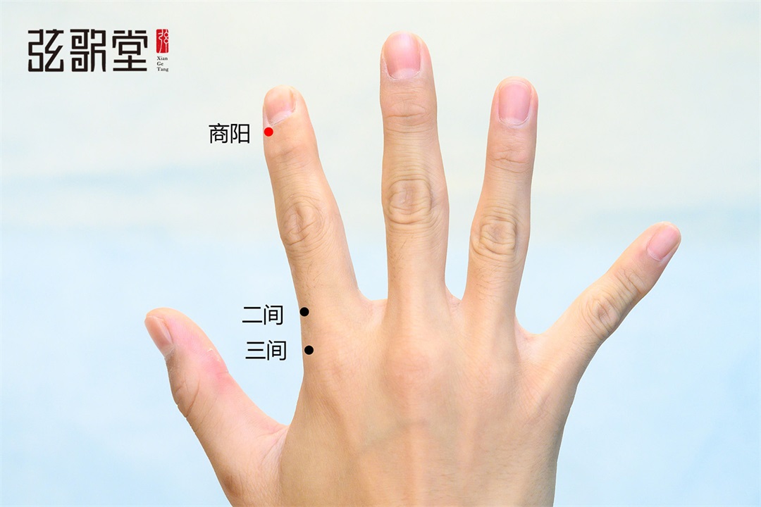 弦歌堂艾養(yǎng)生