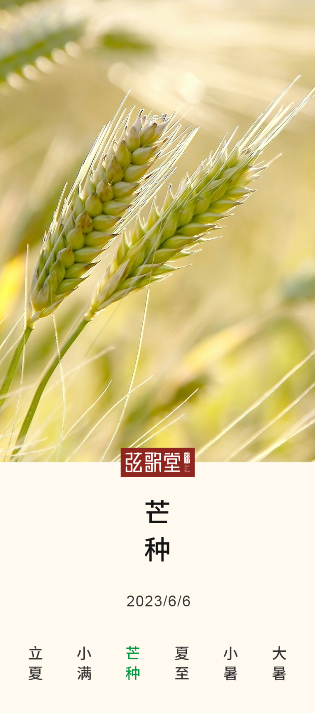 茶葉批發(fā)丨養(yǎng)生茶丨艾條的作用丨艾灸養(yǎng)生