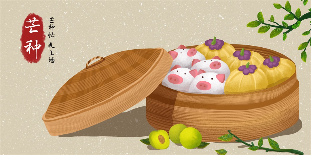 茶葉批發(fā)丨養(yǎng)生茶丨艾條的作用丨艾灸養(yǎng)生
