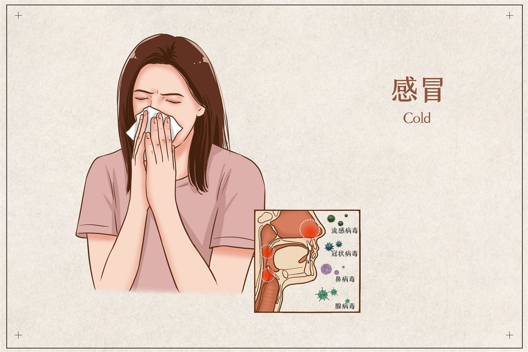 茶葉批發(fā)丨養(yǎng)生茶丨艾條的作用丨艾灸養(yǎng)生