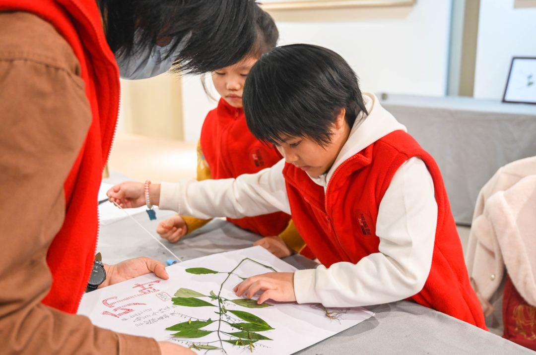 弦歌堂艾養(yǎng)生