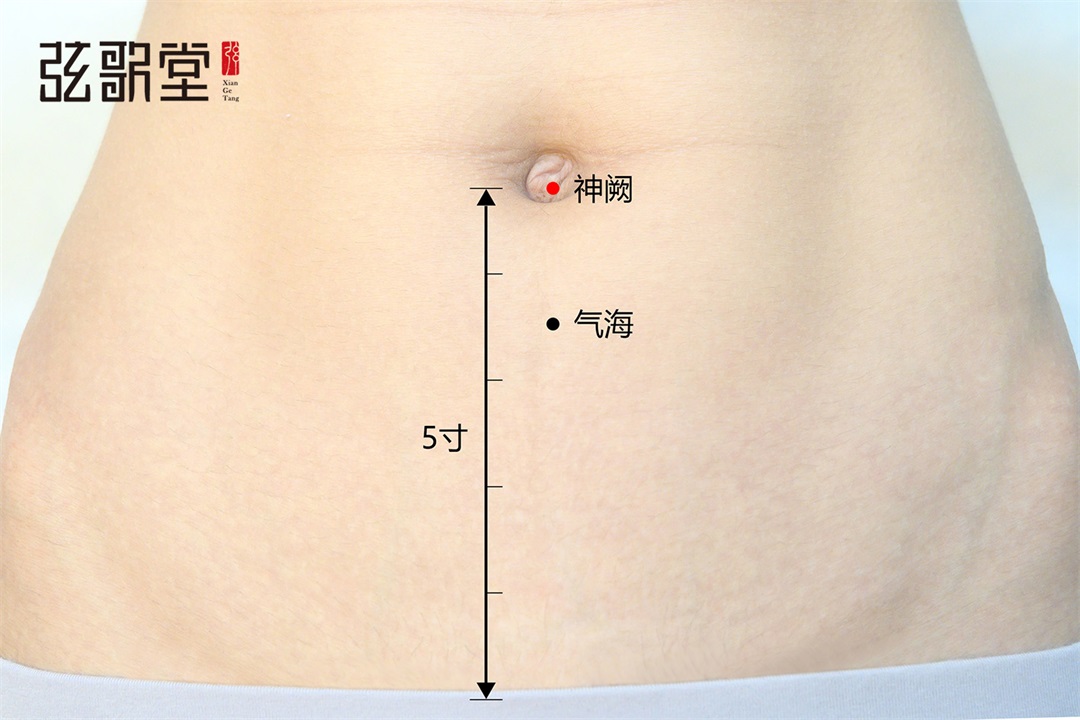 弦歌堂艾養(yǎng)生