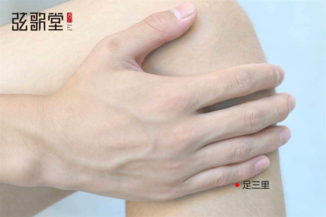 弦歌堂艾養(yǎng)生