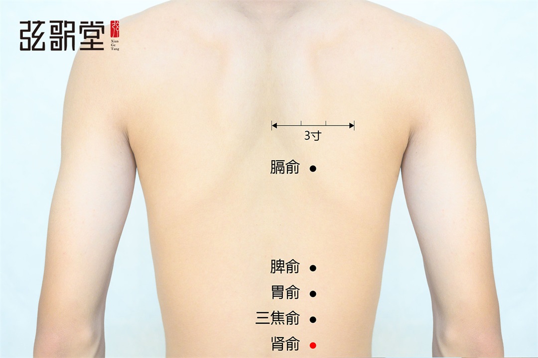 弦歌堂艾養(yǎng)生