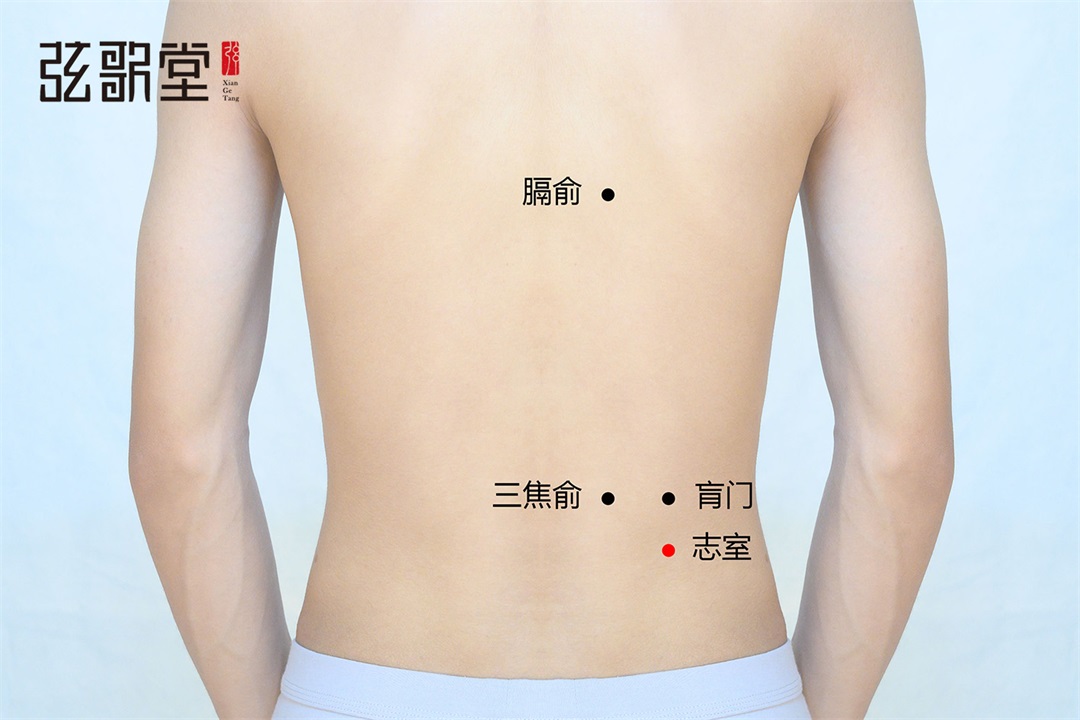 弦歌堂艾養(yǎng)生