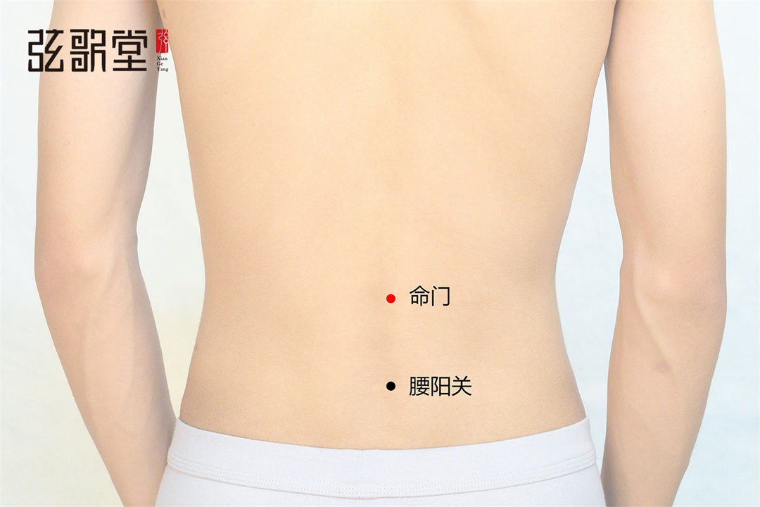 弦歌堂艾養(yǎng)生