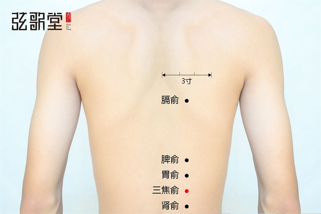 弦歌堂艾養(yǎng)生