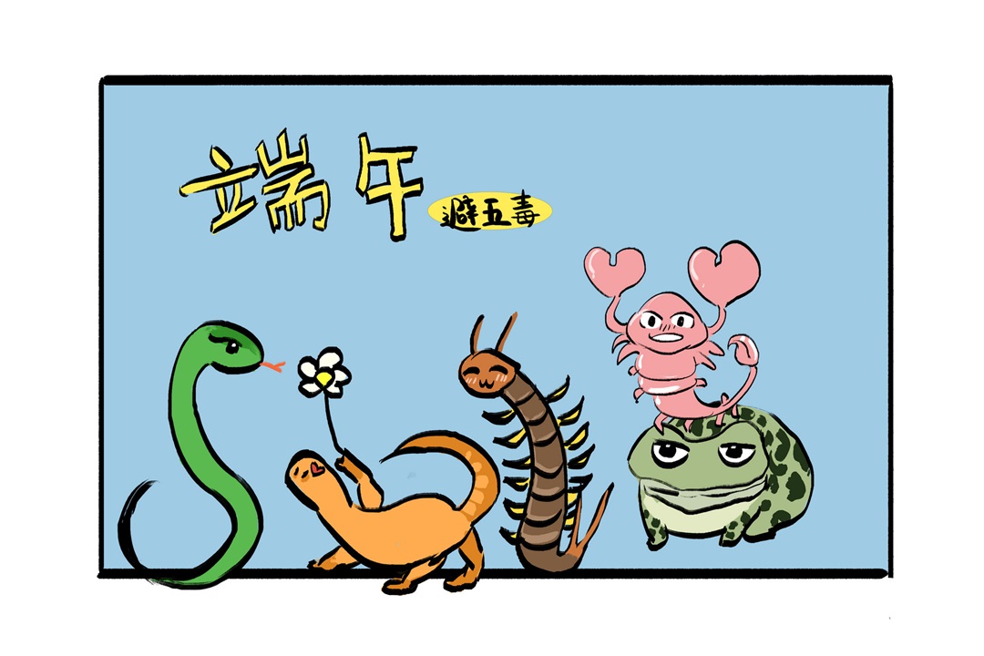 茶葉批發(fā)丨養(yǎng)生茶丨艾條的作用丨艾灸養(yǎng)生
