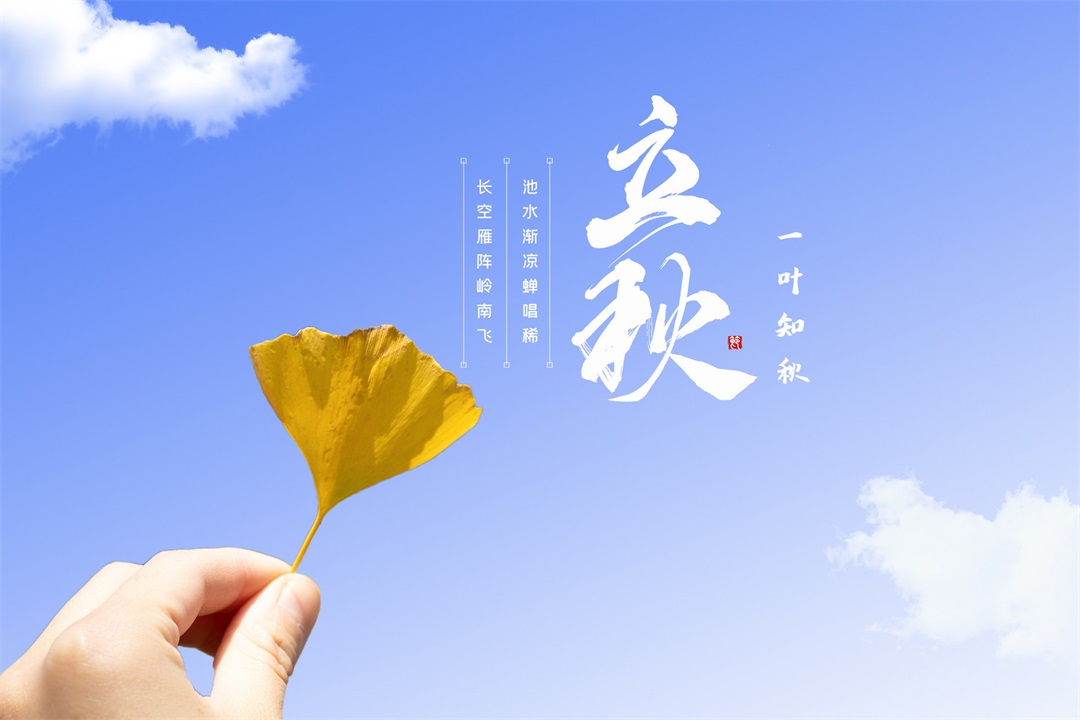 茶葉批發(fā)丨養(yǎng)生茶丨艾條的作用丨艾灸養(yǎng)生