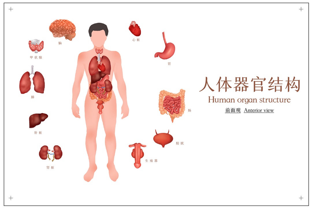 茶葉批發(fā)丨養(yǎng)生茶丨艾條的作用丨艾灸養(yǎng)生