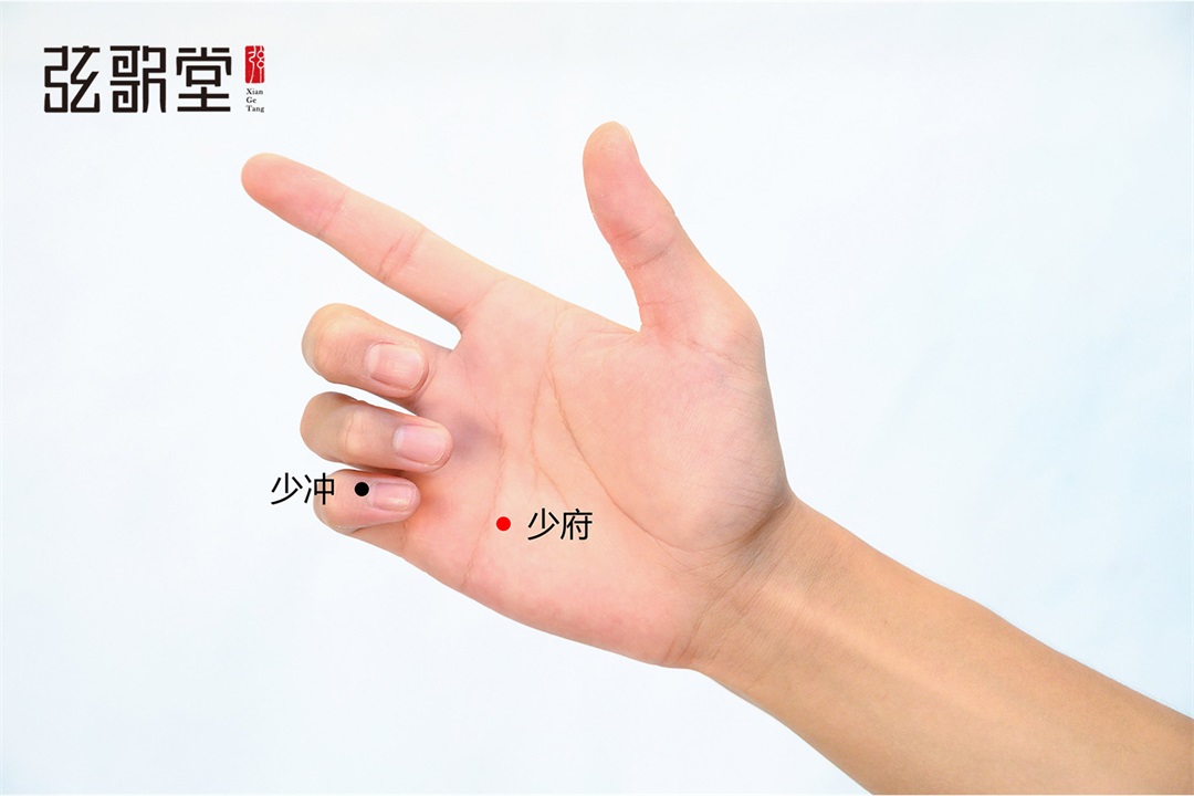 弦歌堂艾養(yǎng)生