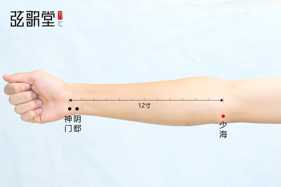 弦歌堂艾養(yǎng)生