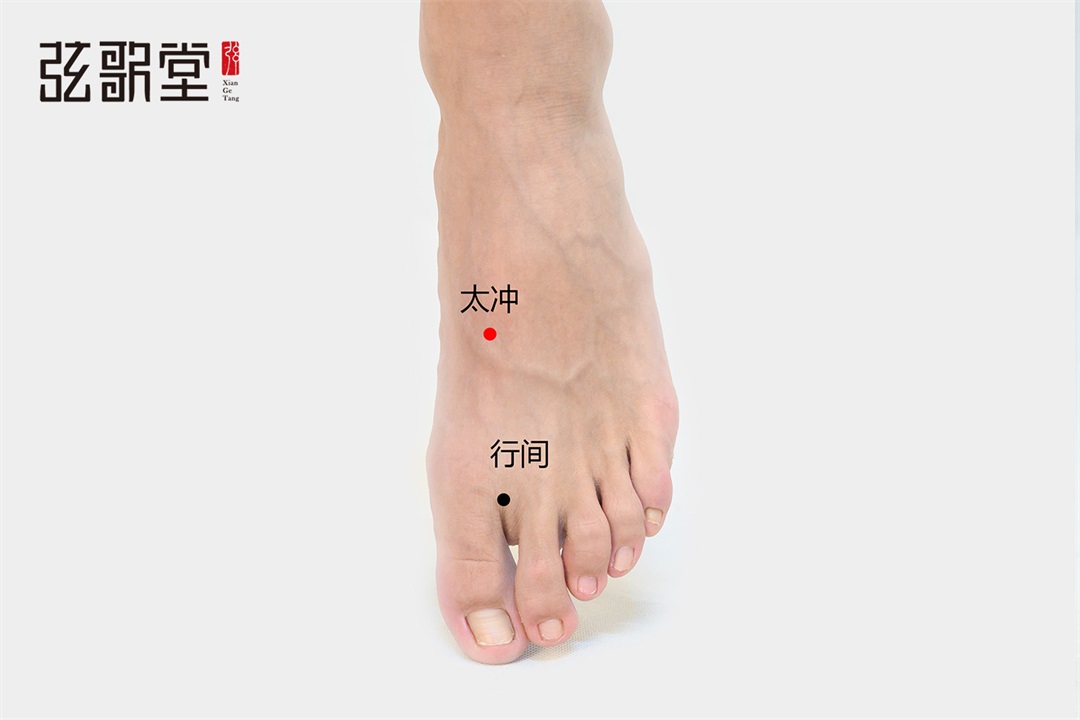 弦歌堂艾養(yǎng)生